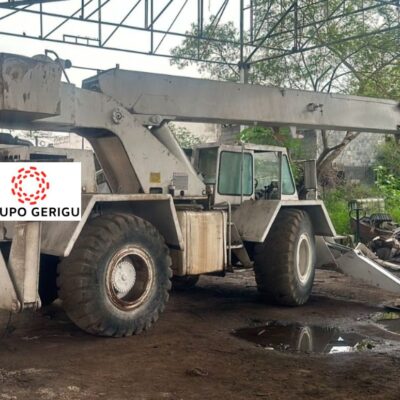 Grúa usada capacidad de 30 toneladas de 30 metros de altura